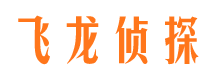 沧县侦探公司